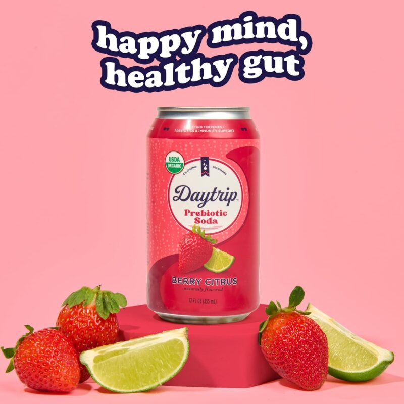 DAYTRIP Prebiotic Soda Berry Citrus