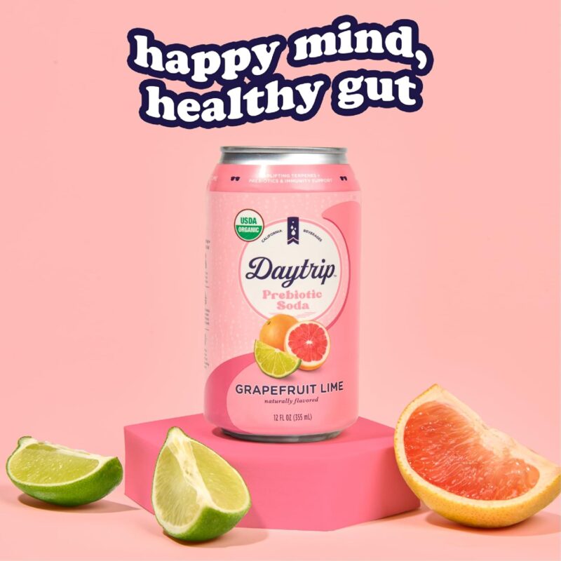 DAYTRIP Prebiotic Soda Grapefruit Lime