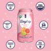 DAYTRIP Prebiotic Soda Grapefruit Lime